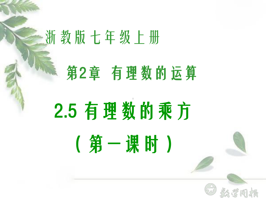 浙教版数学七上课件25有理数的乘方1.ppt_第3页