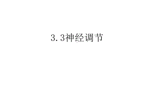 浙教版科学八年级上册神经调节课件.pptx