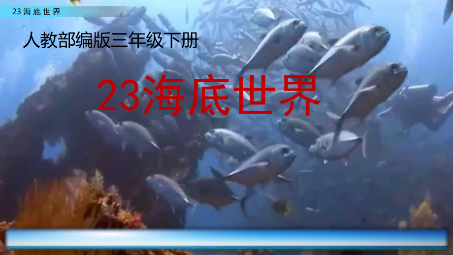 海底世界 三(下)优秀课件.pptx_第2页