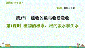 浙教版科学八年级下《植物的根系、根的吸水和失水》习题课件.ppt