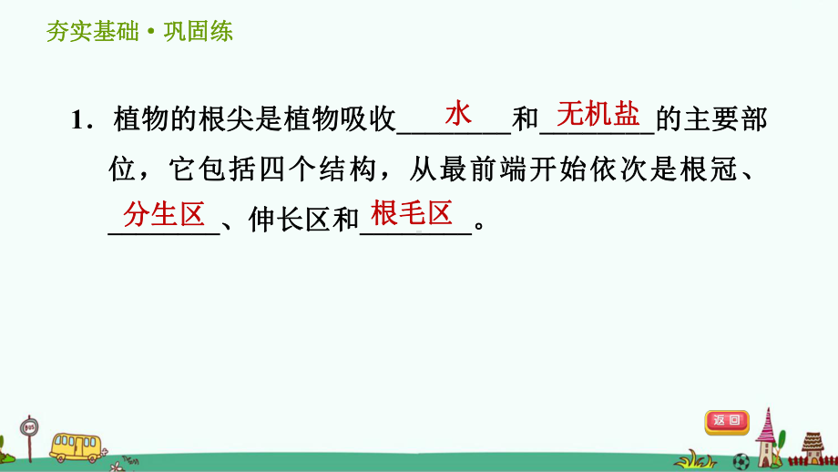 浙教版科学八年级下《植物的根系、根的吸水和失水》习题课件.ppt_第2页