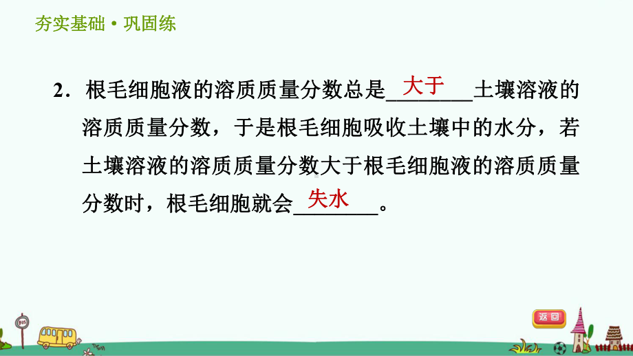 浙教版科学八年级下《植物的根系、根的吸水和失水》习题课件.ppt_第3页