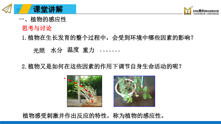 浙教版八年级上册科学第3章 生命活动的调节 31 植物生命活动的调节课件.ppt_第2页