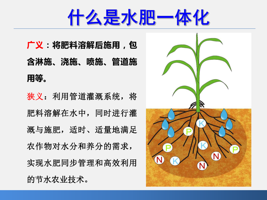 水肥一体化技术 稿课件.ppt_第2页