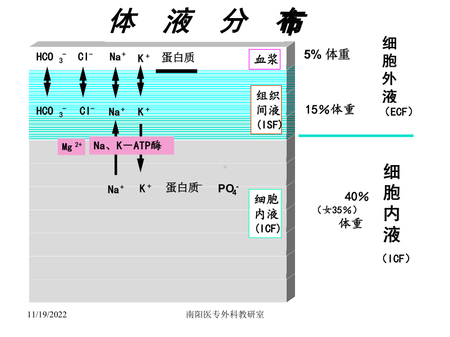 水电解质与酸碱平衡失调论述课件.pptx_第3页