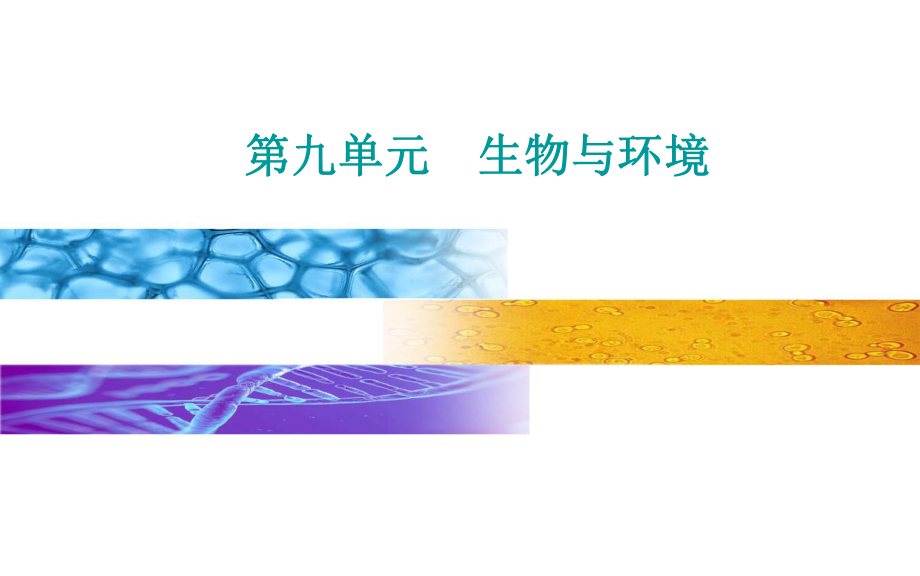 生物高考总复习(选择性考试) 生态系统的结构课件.ppt_第1页