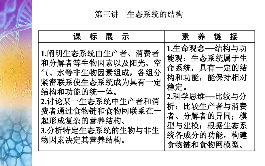 生物高考总复习(选择性考试) 生态系统的结构课件.ppt_第2页