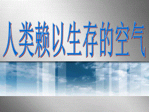 沪教版(上海)初中化学九年级上册 21 人类赖以生存的空气 课件.ppt