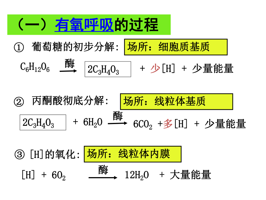 生物必修一 5 3细胞呼吸原理和应用课件.ppt_第3页