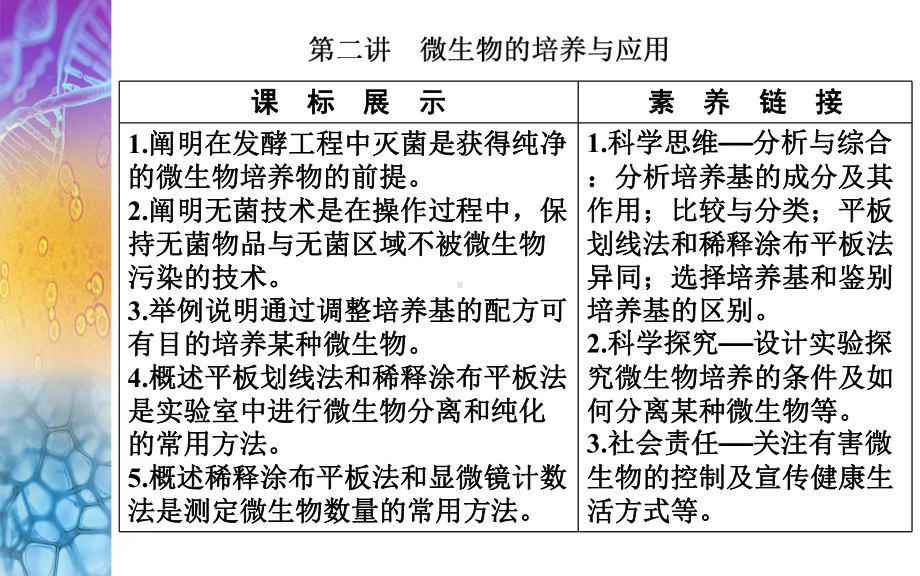 生物高考总复习(选择性考试) 微生物的培养与应用课件.ppt_第2页