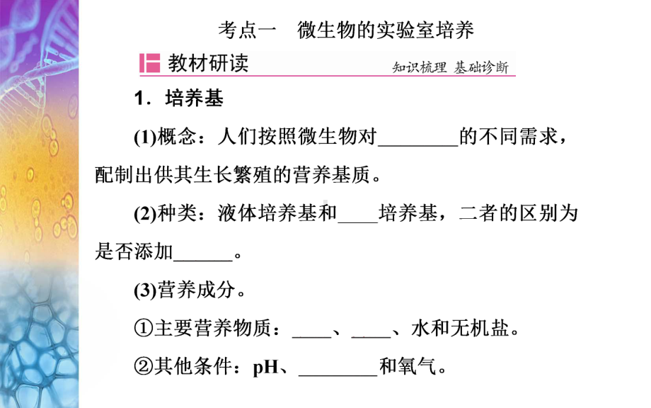 生物高考总复习(选择性考试) 微生物的培养与应用课件.ppt_第3页