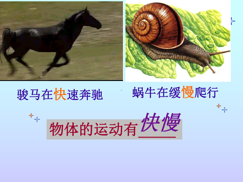 物体的运动小学 科学课件.ppt_第2页