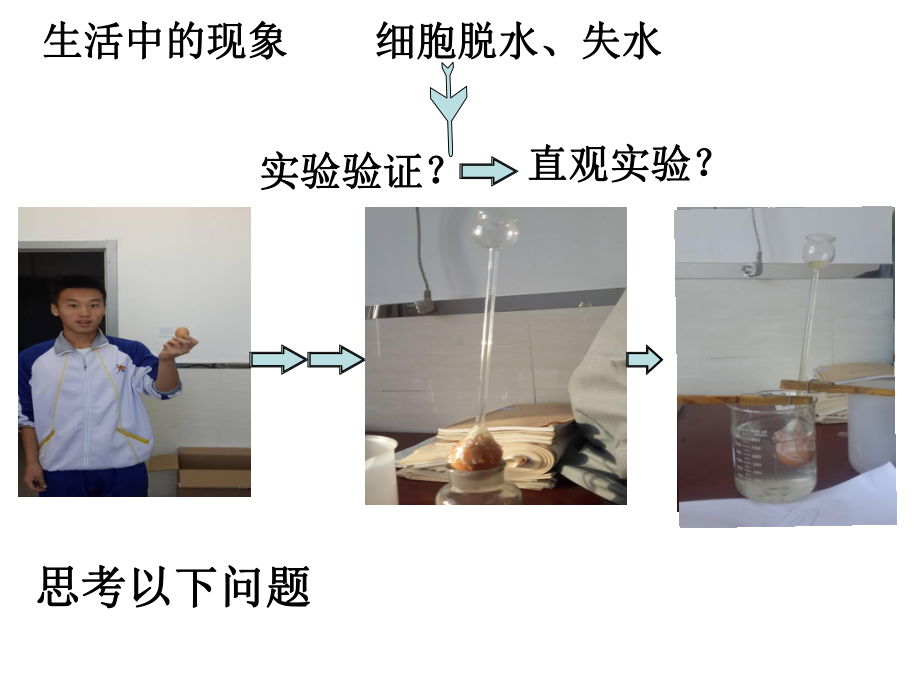 生物必修一课件物质跨膜运输实例.ppt_第2页