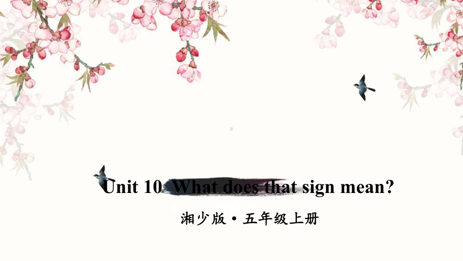 湘少版五年级英语上册Unit 10 What does that sign mean课件.ppt（纯ppt,不包含音视频素材）_第1页