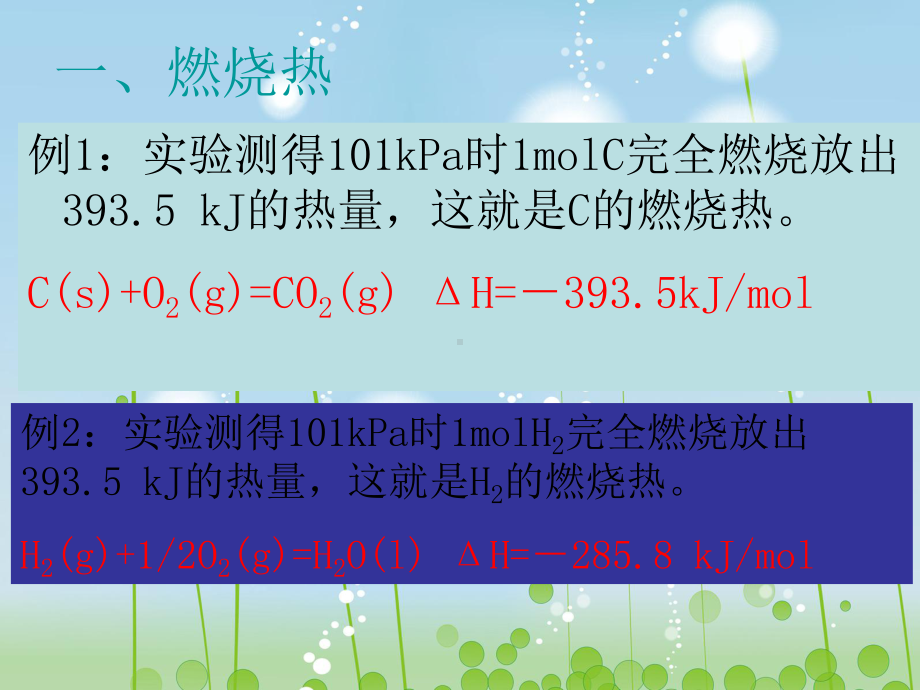 燃烧热 能源教学课件.ppt_第2页