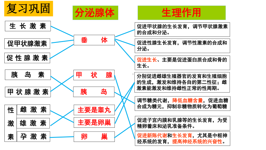 激素调节的过程（新教材）新人教版高中生物选择性必修一课件.pptx_第1页