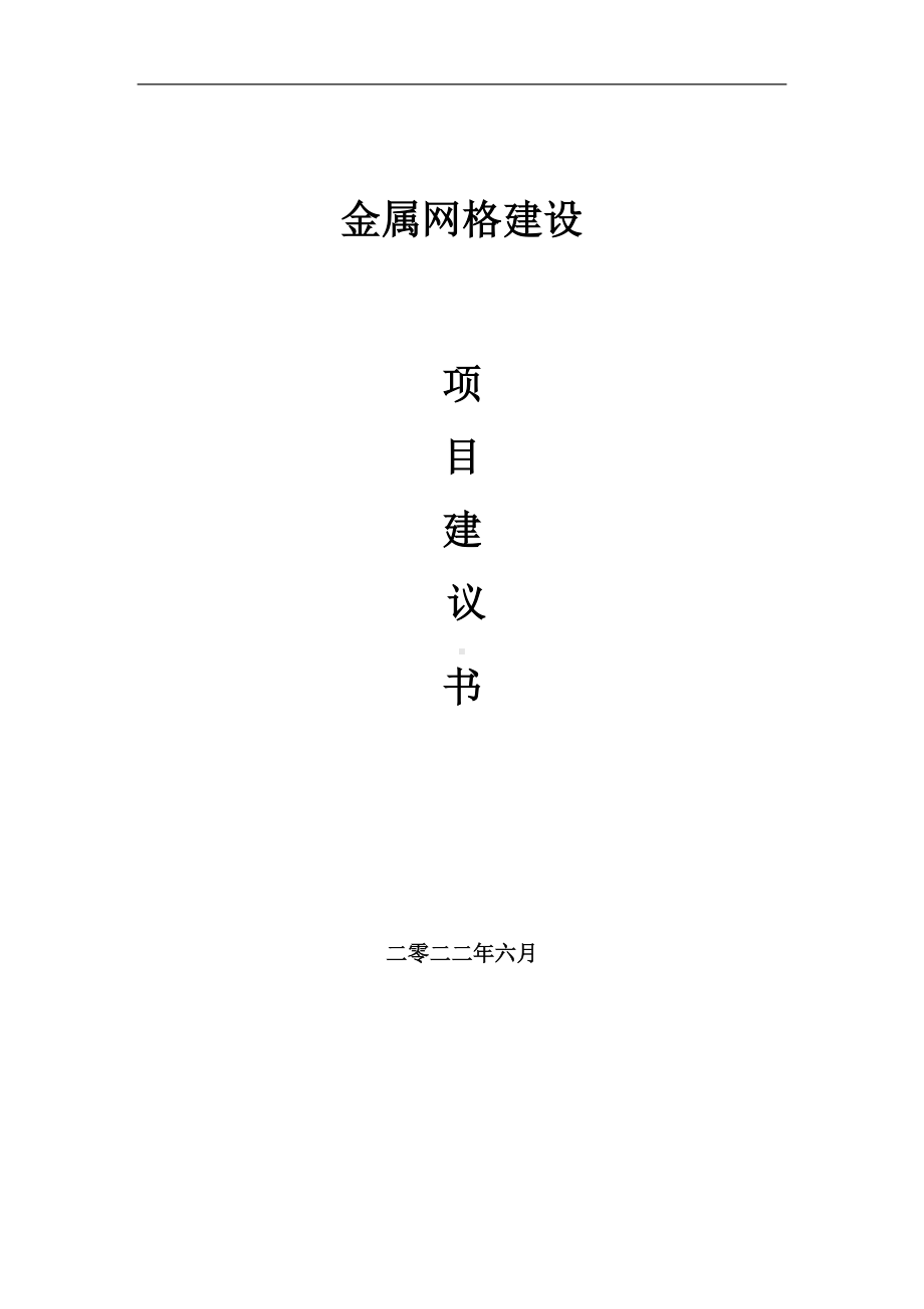 金属网格项目建议书（写作模板）.doc_第1页