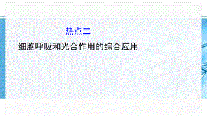 浙科版高中生物一轮复习热点专题突破 热点二 细胞呼吸和光合作用的综合应用课件.ppt