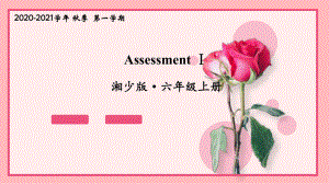 湘少版六年级英语上册Assessment Ⅰ课件.ppt（纯ppt,无音视频）