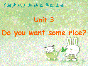 湘少版五年级上册英语Unit 3《Do you want some rice》公开课课件.ppt