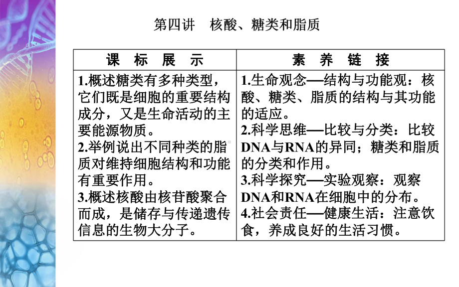 生物高考总复习(选择性考试) 核酸、糖类和脂质课件.ppt_第2页