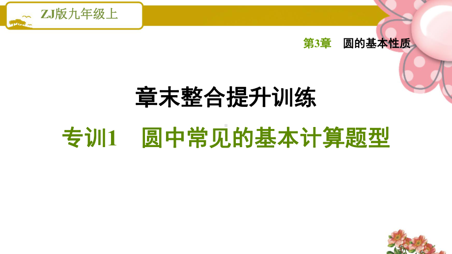 浙教版九年级数学上册《圆的基本性质》章末整合提升训练 专训1 圆中常见的基本计算题型课件.ppt_第1页