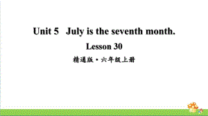 人教精通版英语六年级上册Lesson 30教学课件.pptx(纯ppt,无音视频)