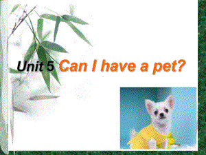 湘少版五年级上册英语Unit 5 Can I have a pet？课件.ppt（纯ppt,不包含音视频素材）