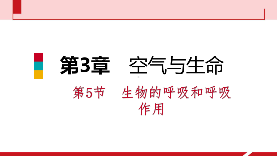 浙教版八年级科学下册复习课课件第3章第5节生物的呼吸和呼吸作用.pptx_第2页