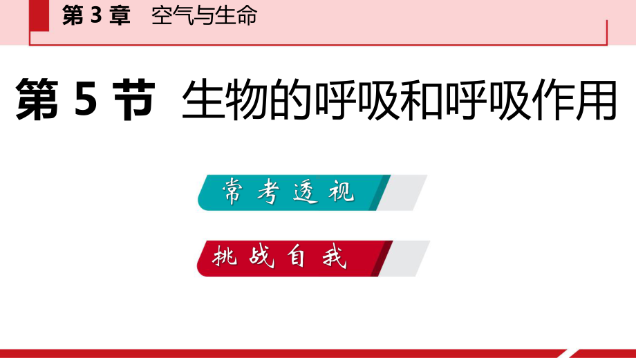 浙教版八年级科学下册复习课课件第3章第5节生物的呼吸和呼吸作用.pptx_第3页