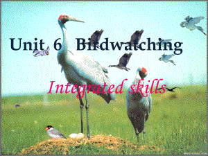 牛津译林版八年级英语上册《nit 6 BirdwatchingIntegrated skills》优质课课件-12.ppt