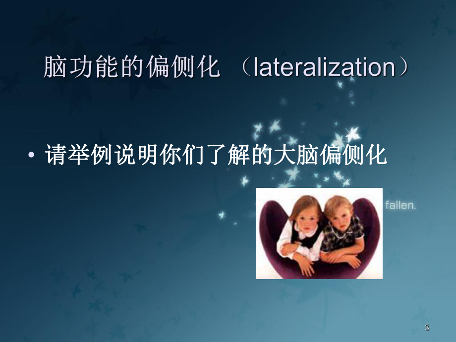 生理心理学：脑功能的一侧化课件.ppt_第3页