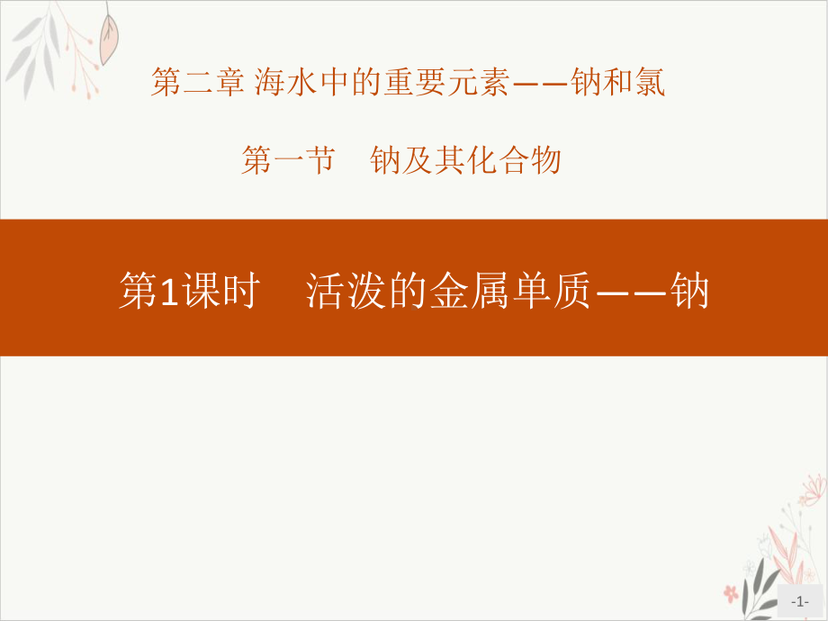 活泼的金属单质-钠钠及其化合物优质公开课课件.pptx_第1页