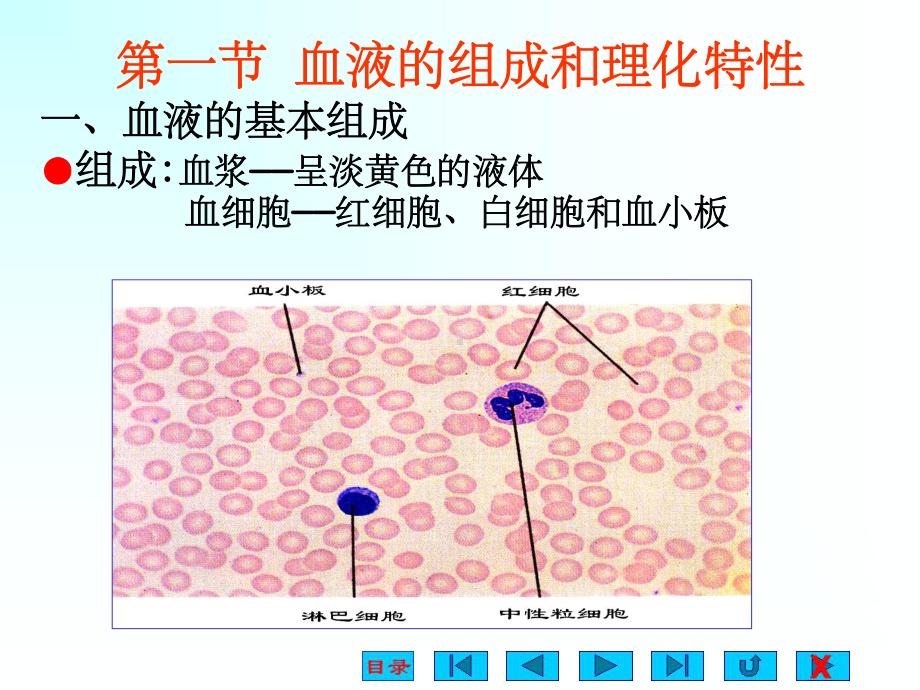 生理学 第三章 血液课件.ppt_第2页