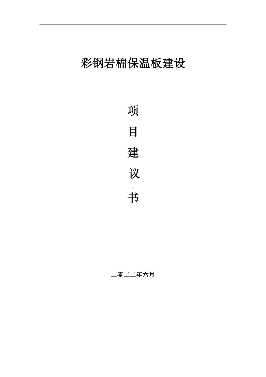 彩钢岩棉保温板项目建议书（写作模板）.doc_第1页