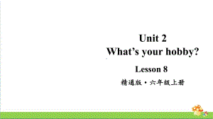 人教精通版英语六年级上册Lesson 8教学课件.pptx(纯ppt,无音视频)