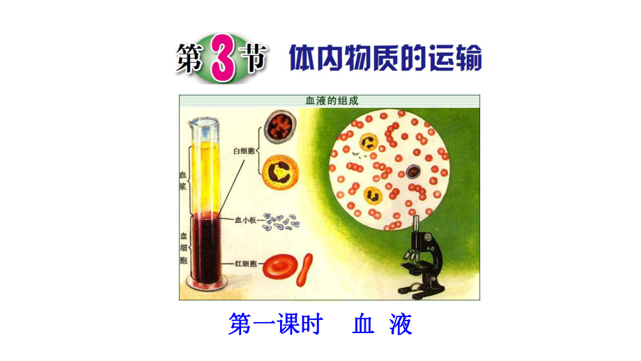 浙教版科学九年级科学上册第四章第3节体内物质的运输优质课件.pptx_第2页