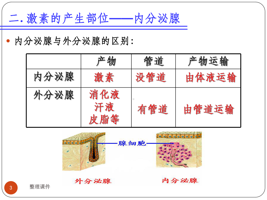 激素调节神经调节与体液调节的关系课件.ppt_第3页