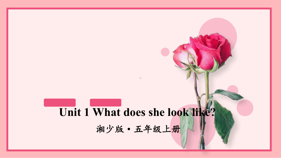 湘少版五年级英语上册Unit 1 What does she look like课件.ppt（纯ppt,不包含音视频素材）_第1页