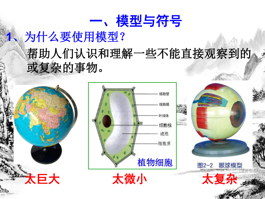 浙教版科学微粒的模型与符号复习课课件.ppt_第2页