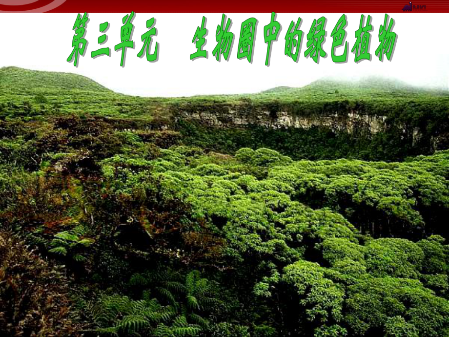 生物圈中的绿色植物课件.ppt_第1页