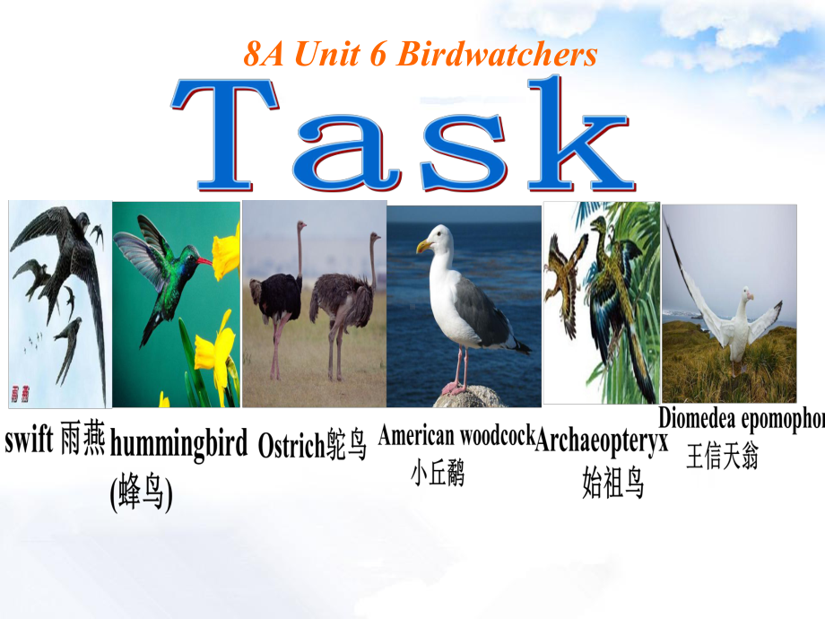 牛津译林版八年级英语上册《nit 6 BirdwatchingTask： Making an application》优质课课件-1.ppt_第1页