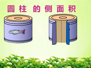 六年级数学下册课件-3.1.2 圆柱的侧面积26-人教版（共23张PPT）.pptx