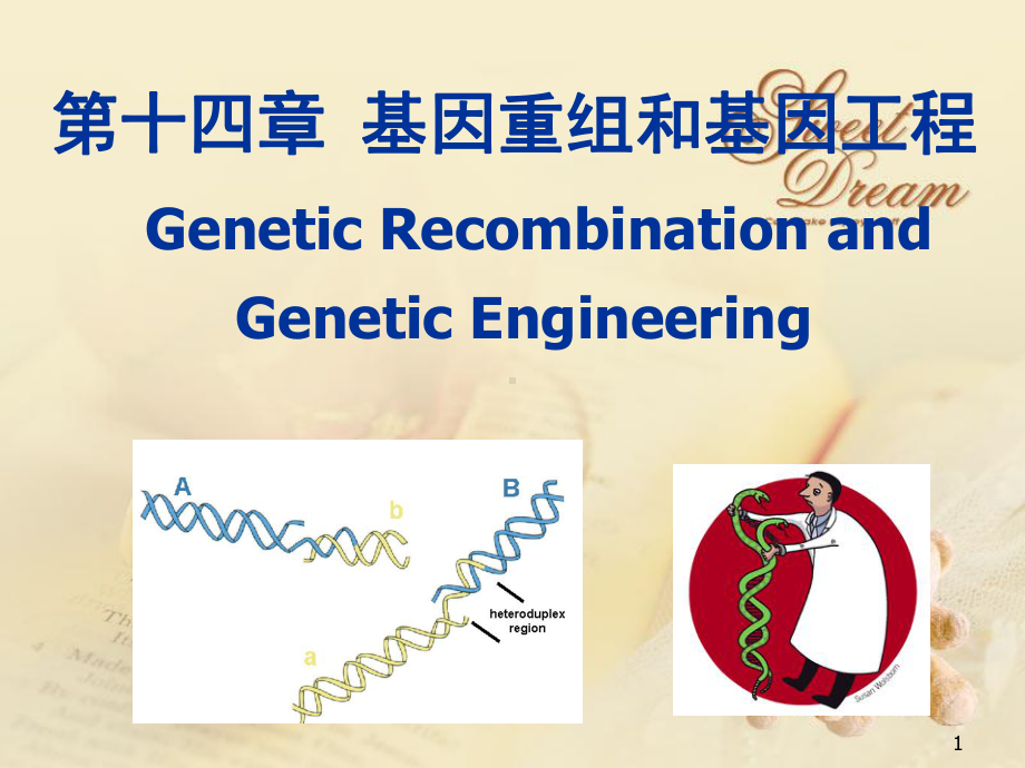 生物化学课件基因重组和基因工程.ppt_第1页