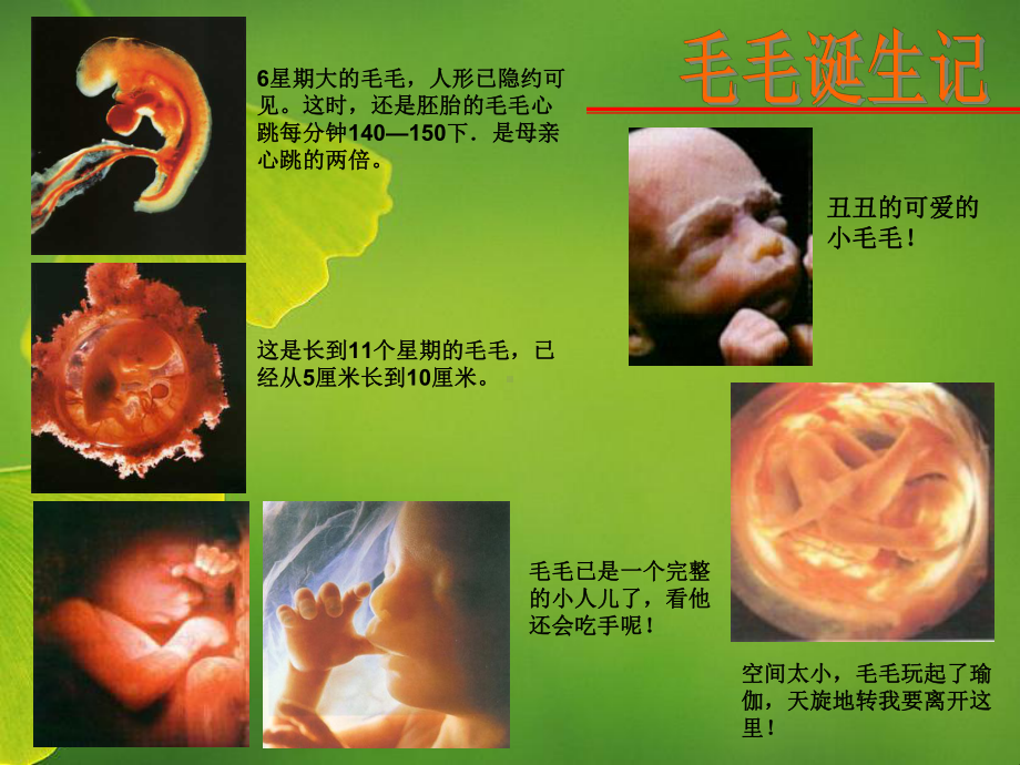 初中生主题班会：珍爱生命 ppt课件.pptx_第3页