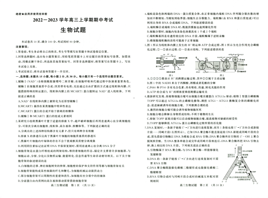 山东省济南市2022-2023高三上学期11月期中考试生物试题+答案.pdf_第1页