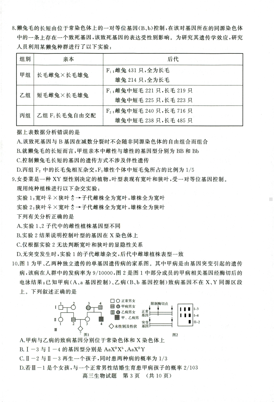 山东省济南市2022-2023高三上学期11月期中考试生物试题+答案.pdf_第2页