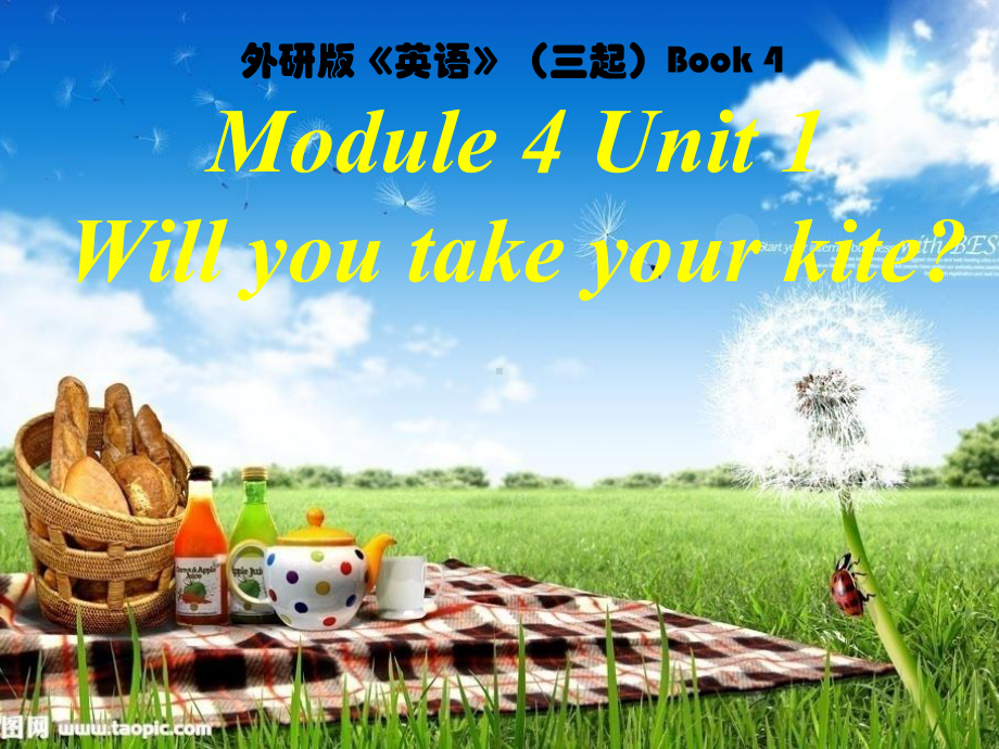 四年级英语下册课件-Module 4 Unit 1 Will you take your kite（14）-外研版（三起）.ppt_第1页