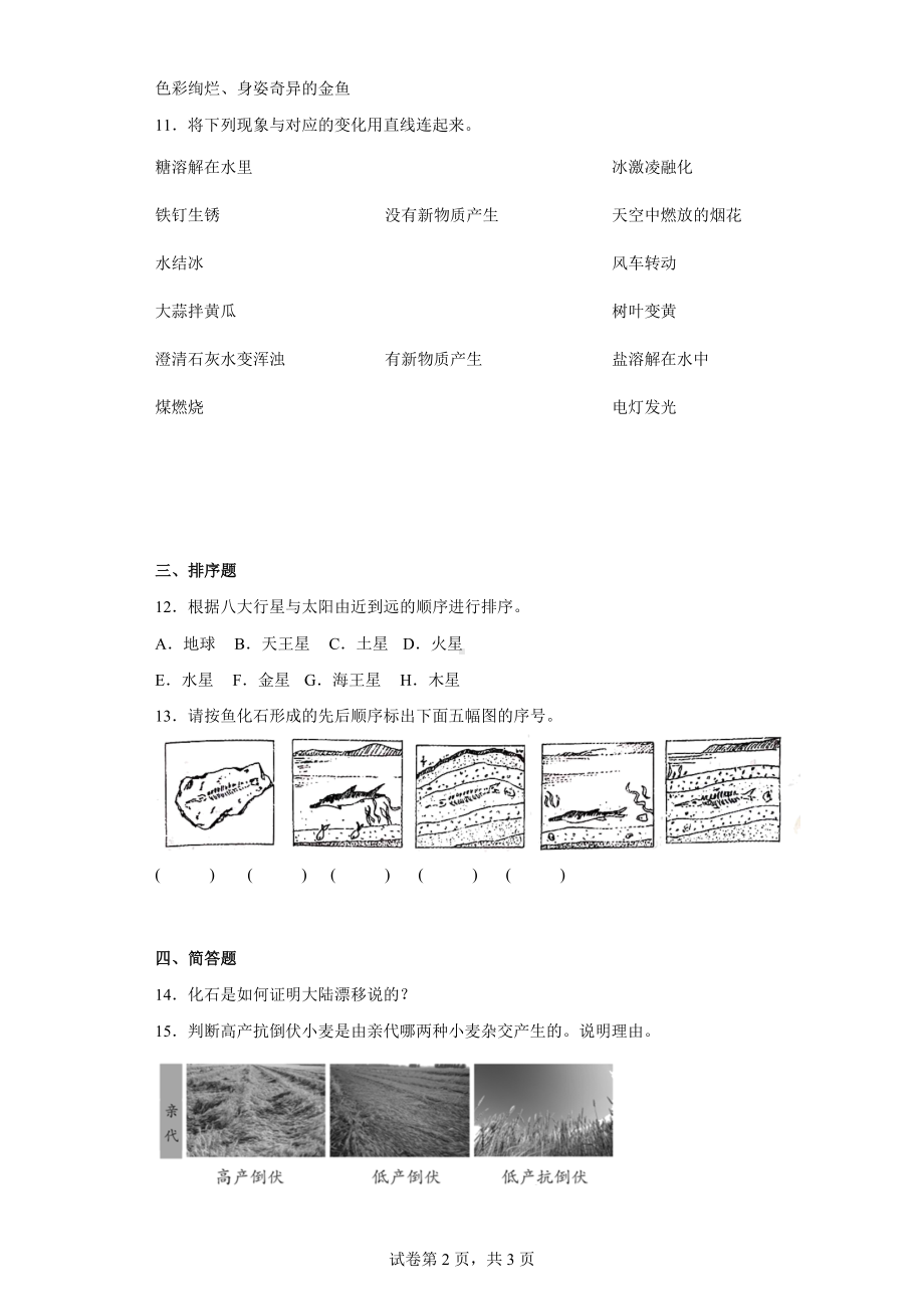 2022新苏教版六年级上册《科学》综合复习题（含答案）.docx_第2页