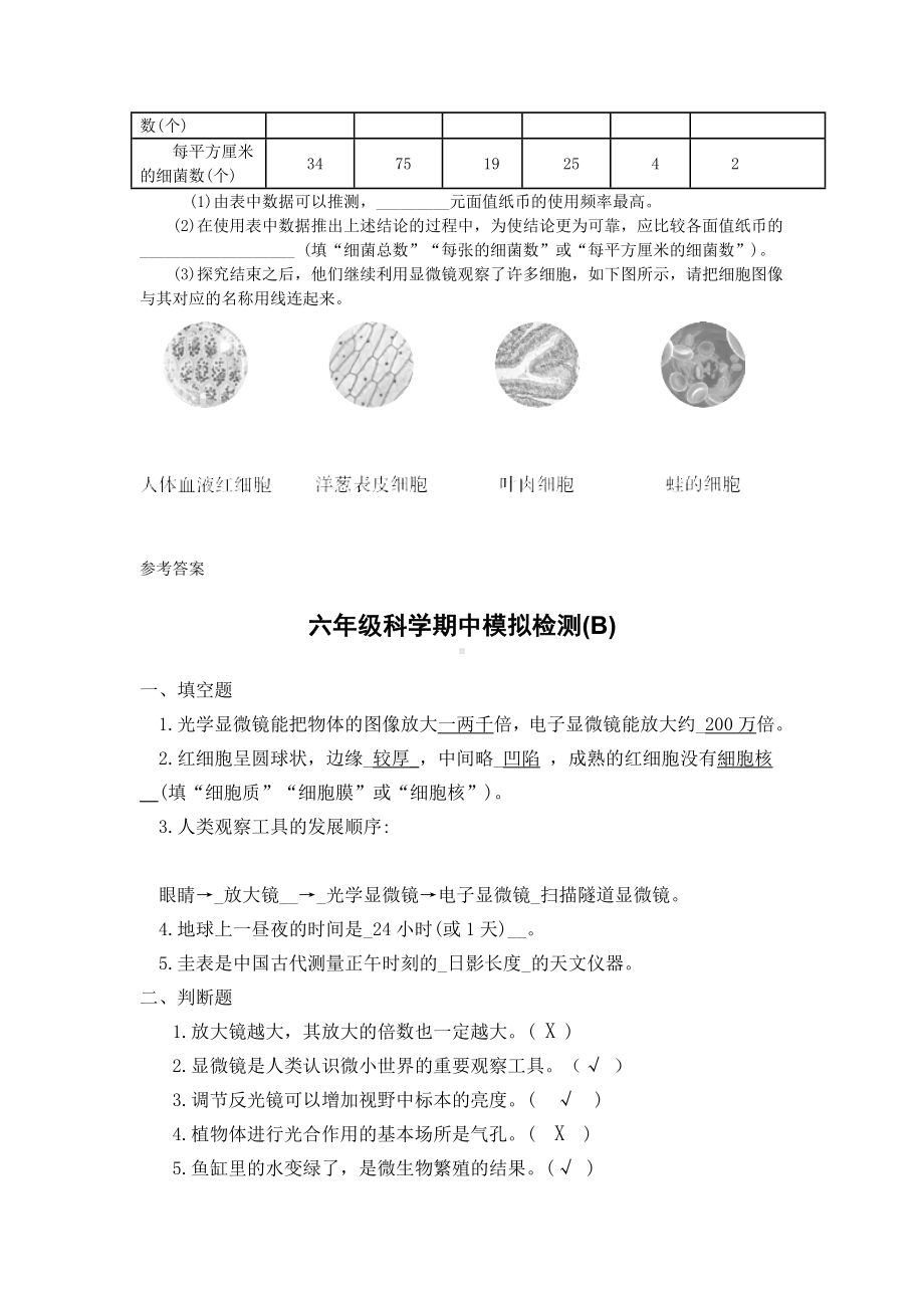 2022新教科版六年级上册《科学》期中测试B卷（含答案）.doc_第3页